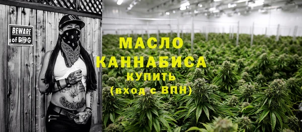 прущие грибы Новодвинск