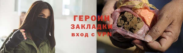 прущие грибы Новодвинск