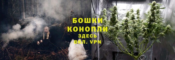 мескалин Михайлов