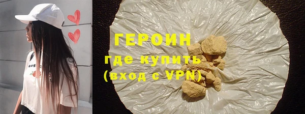прущие грибы Новодвинск