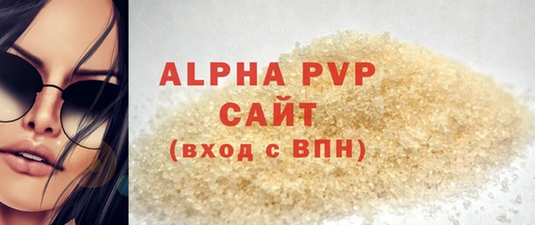 прущие грибы Новодвинск